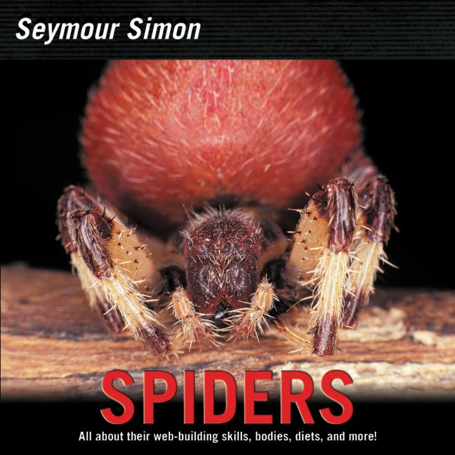 Spiders (Updated)
