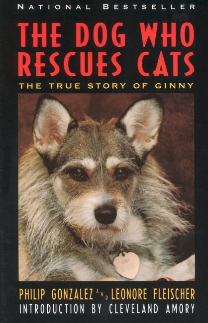 Dog Who Rescues Cats: True Story of Ginny, the