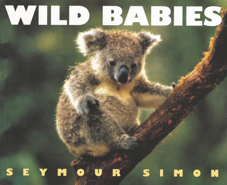 Wild Babies (Revised)
