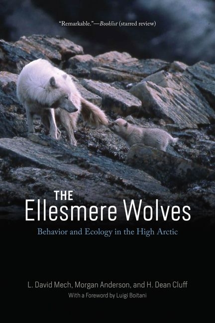 Ellesmere Wolves: Behavior and Ecology in the High Arctic