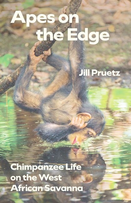 Apes on the Edge: Chimpanzee Life on the West African Savanna