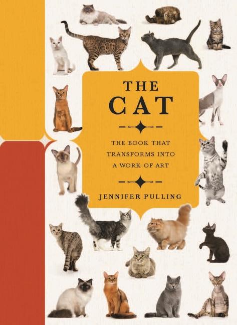 Paperscapes: The Cat: A Book That Transforms Into a Work of Art