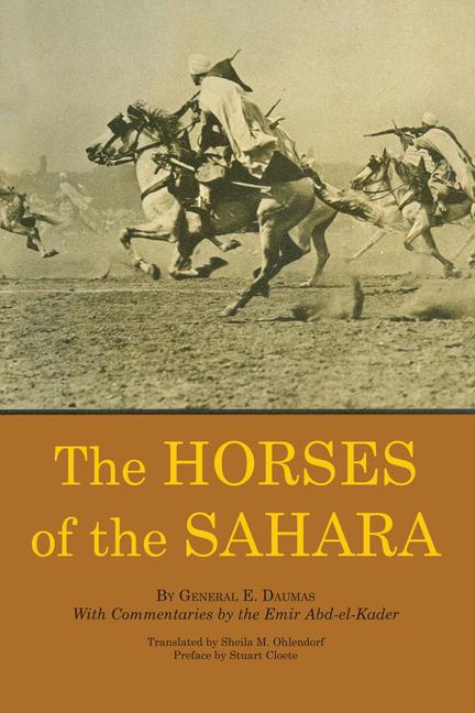 Horses of the Sahara