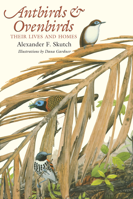 Antbirds and Ovenbirds: Their Lives and Homes