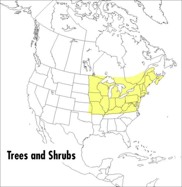 Field Guide to Trees and Shrubs: Northeastern and North-Central United States and Southeastern and S