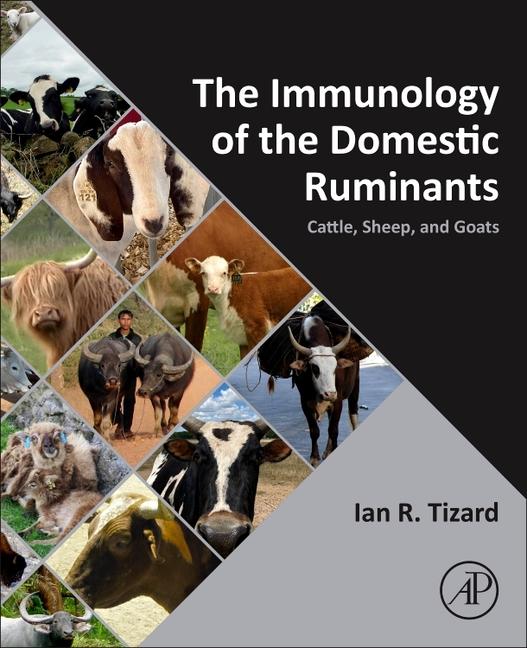 Immunology of the Domestic Ruminants: Cattle, Sheep, and Goats