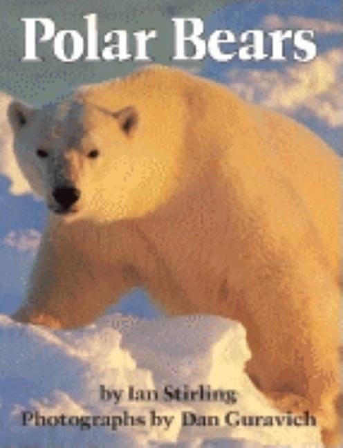 Polar Bears