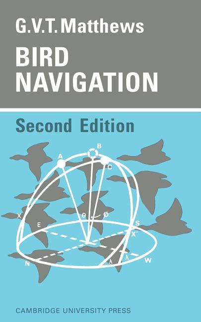 Bird Navigation (Revised)
