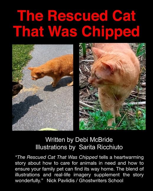 Rescued Cat That Was Chipped.
