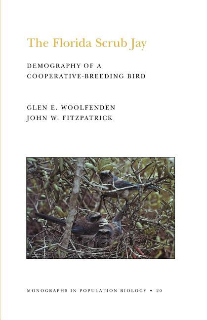 Florida Scrub Jay: Demography of a Cooperative-Breeding Bird