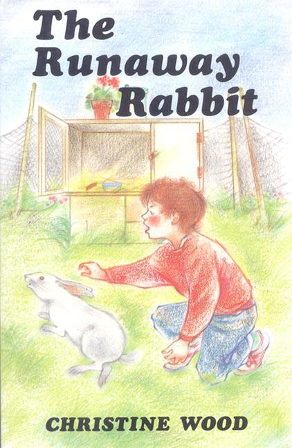 Runaway Rabbit