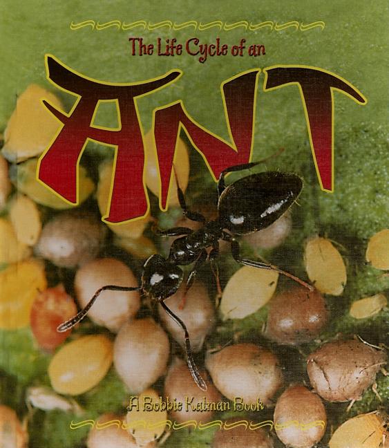 Life Cycle of an Ant