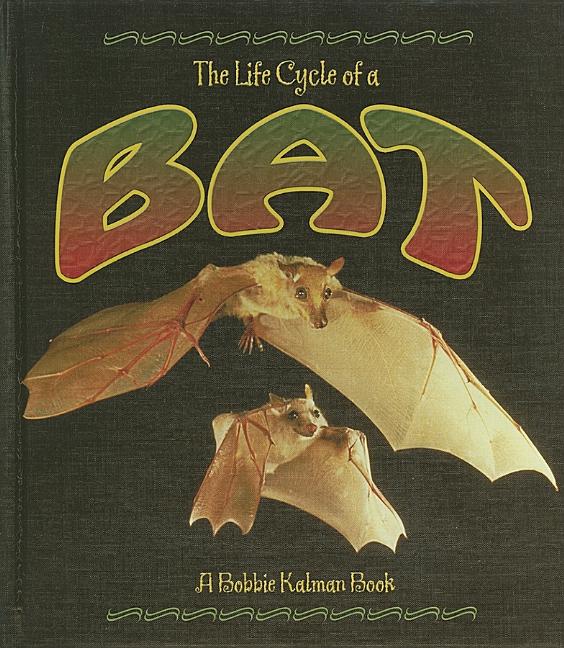Life Cycle of a Bat