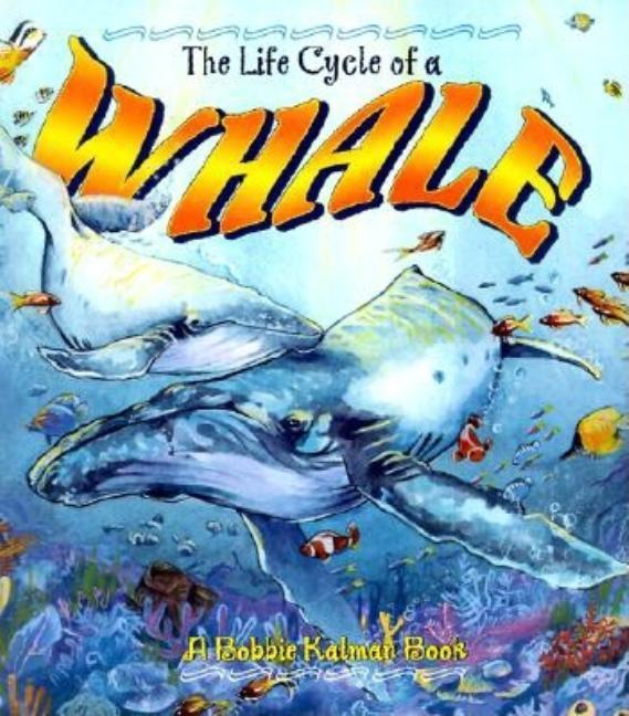 Life Cycle of a Whale