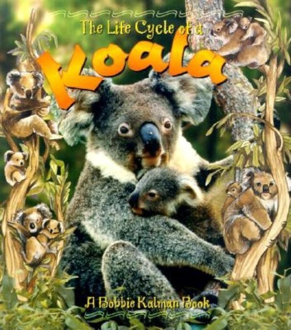 Koala