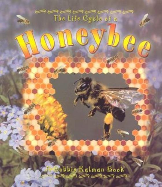 Honeybee