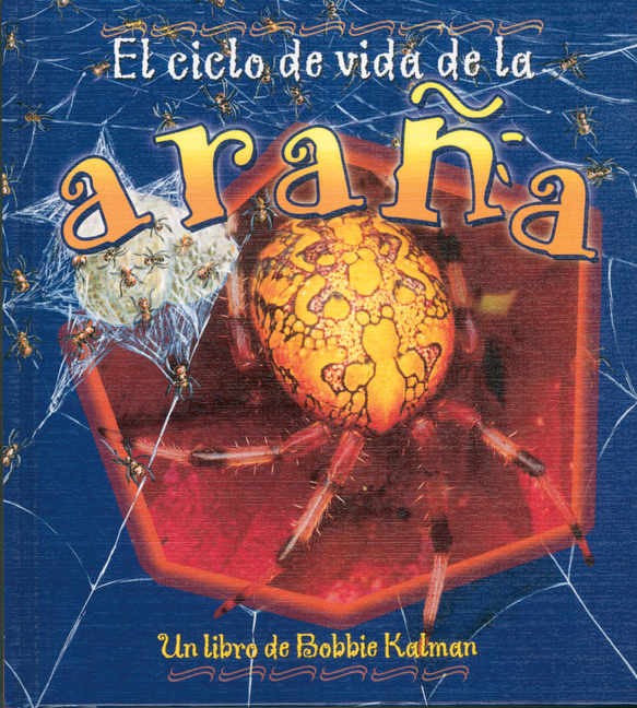 Ciclo de Vida de la Araña (the Life Cycle of a Spider)