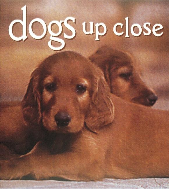 Dogs Up Close: Race and the Demobilization of American Voters
