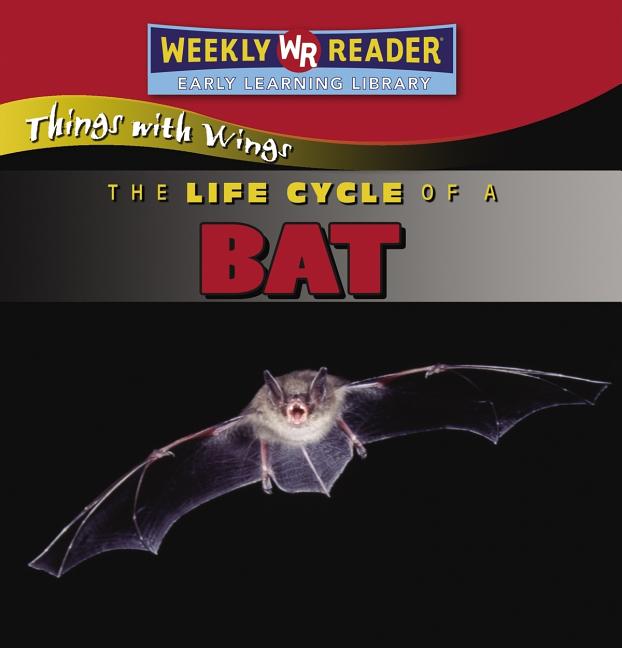 Life Cycle of a Bat