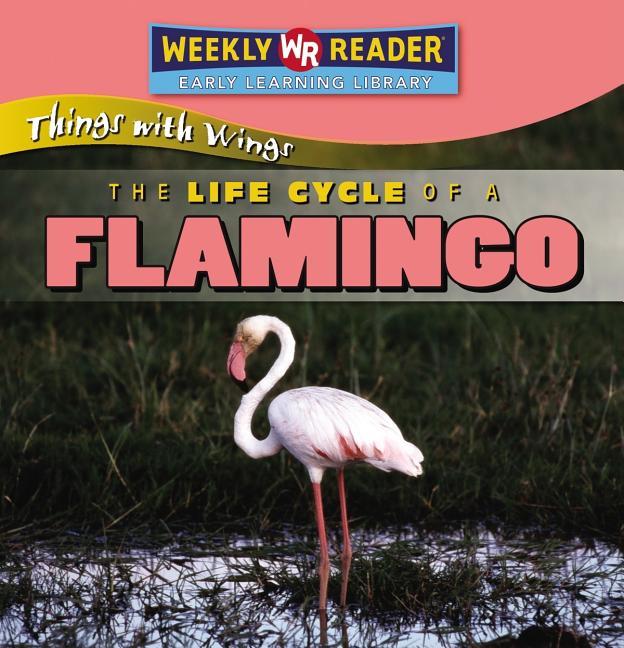 Life Cycle of a Flamingo