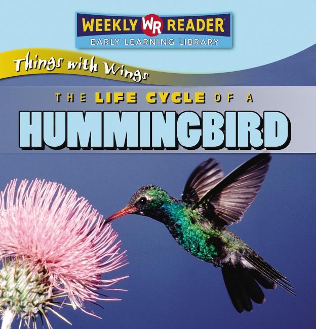 Life Cycle of a Hummingbird