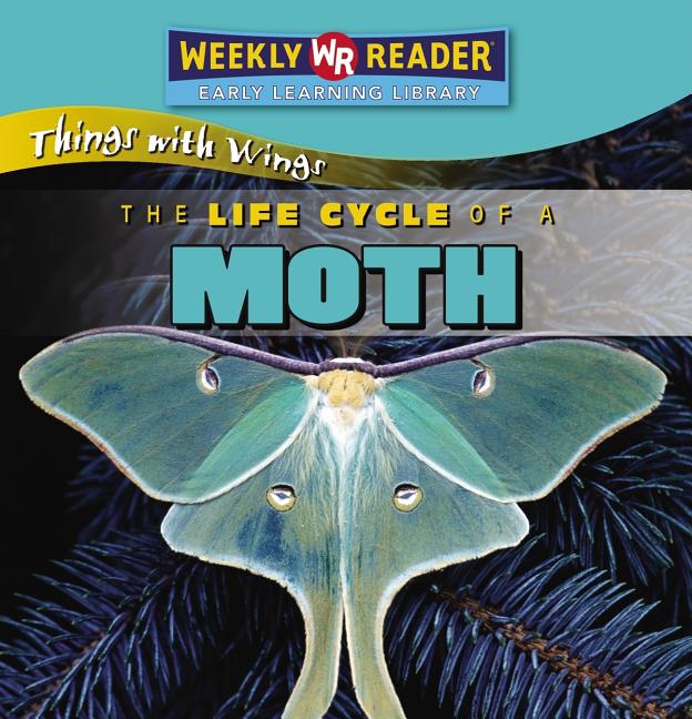 Life Cycle of a Moth