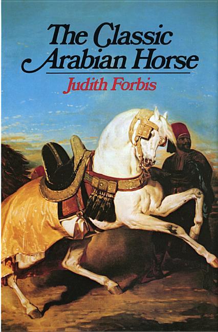Classic Arabian Horse
