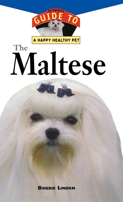 Maltese