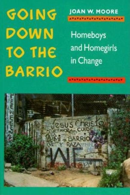 Going Down to the Barrio: Homeboys and Homegirls in Change