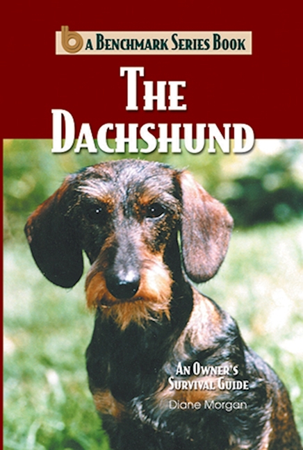 Dachshund: An Owner's Survival Guide