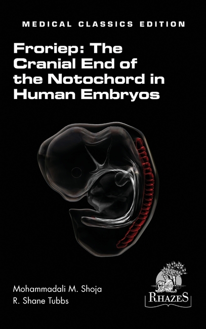 Cranial End of the Notochord in Human Embryos
