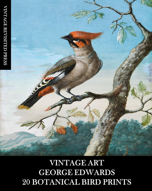 Vintage Art: George Edwards: 20 Botanical Bird Prints: Ephemera for Framing, Home Decor, Collage and