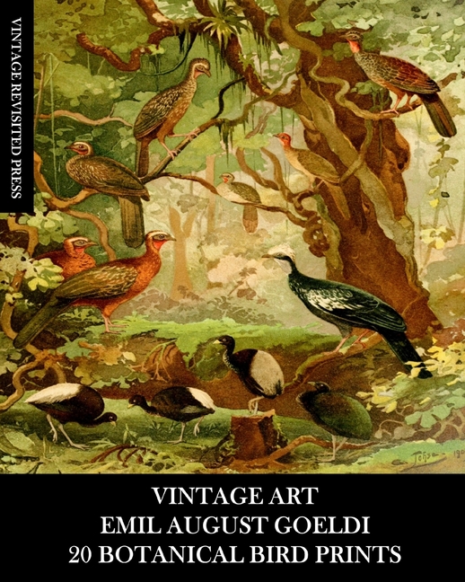 Vintage Art: Emil August Goeldi: 20 Botanical Bird Prints: Ephemera for Framing, Home Decor, Collage