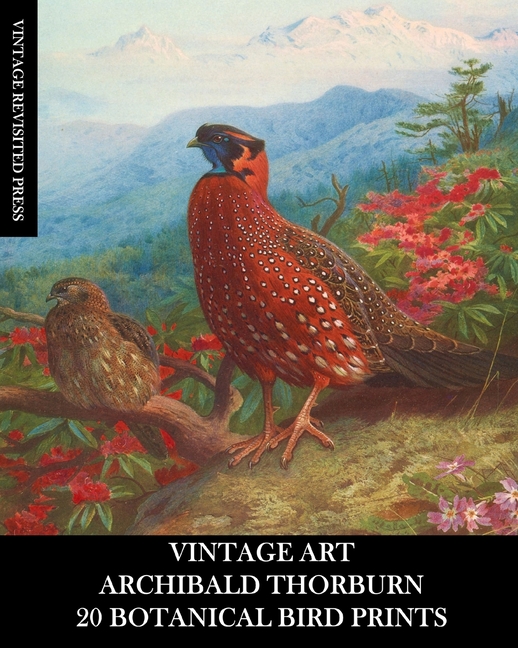 Vintage Art: Archibald Thorburn: 20 Botanical Bird Prints: Ephemera for Framing, Home Decor, Collage