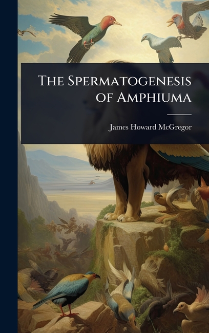 Spermatogenesis of Amphiuma