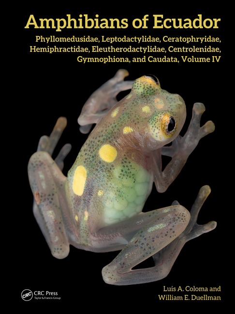 Amphibians of Ecuador: Phyllomedusidae, Leptodactylidae, Ceratophryidae, Hemiphractidae, Eleutheroda