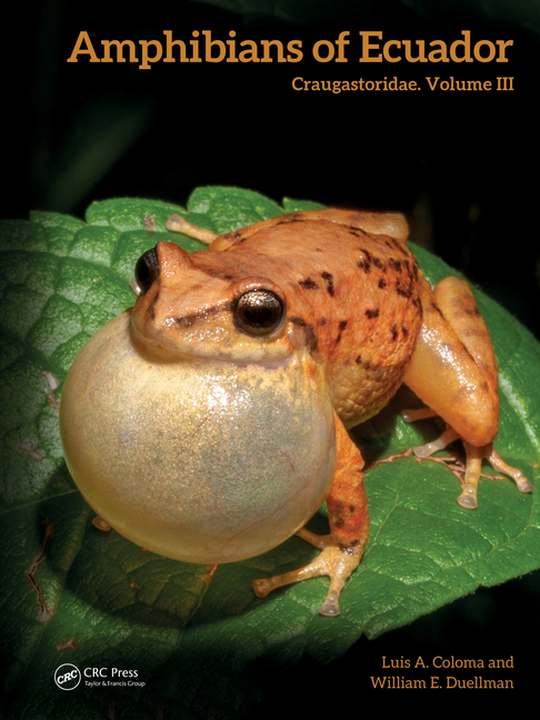 Amphibians of Ecuador: Craugastoridae