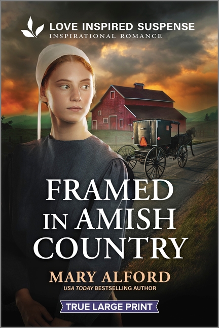 Framed in Amish Country (Original)