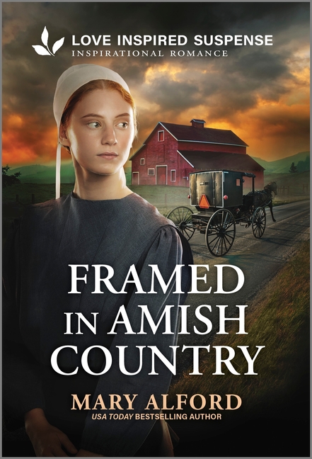 Framed in Amish Country (Original)