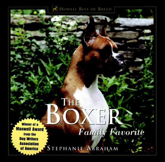 Boxer: Family Favorite
