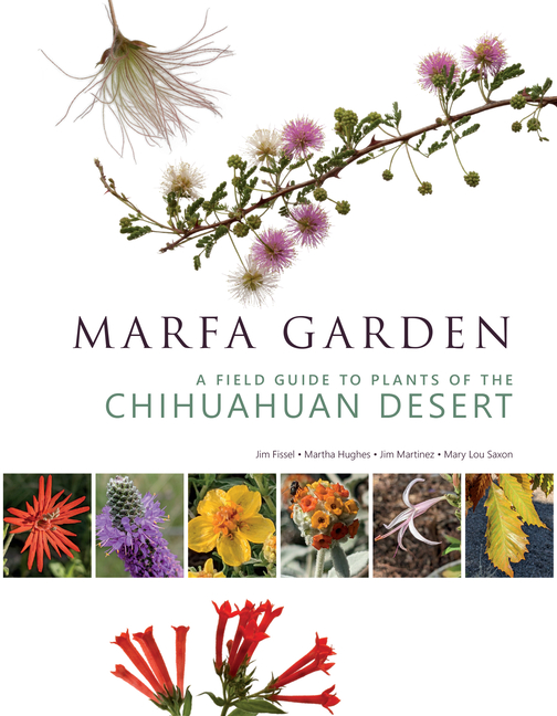 Marfa Garden: A Field Guide to Plants of the Chihuahuan Desert
