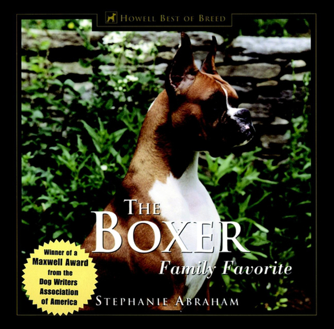 Boxer: Family Favorite