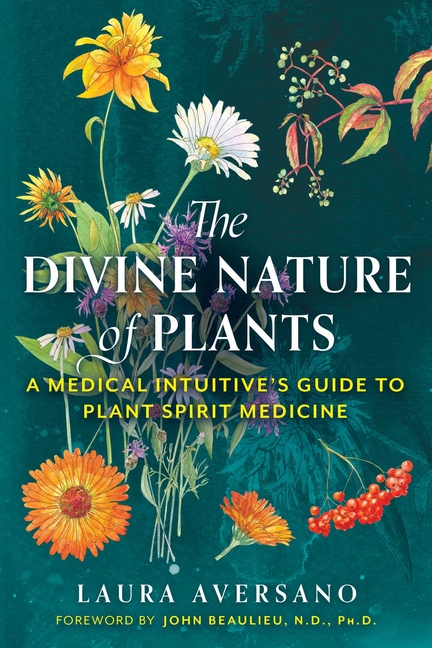 Divine Nature of Plants: A Medical Intuitive's Guide to Plant Spirit Medicine (Edition, New)