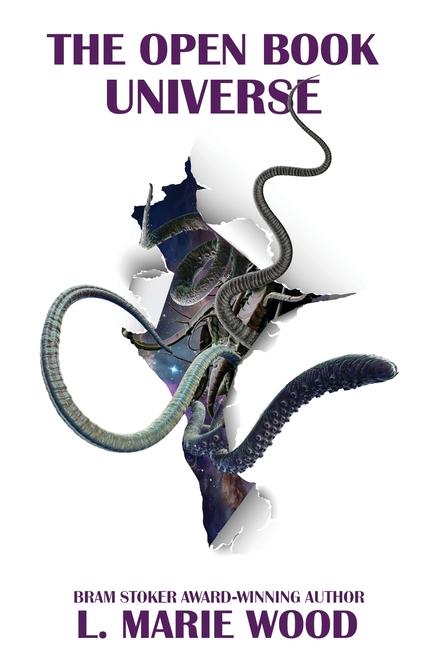 Open Book Universe