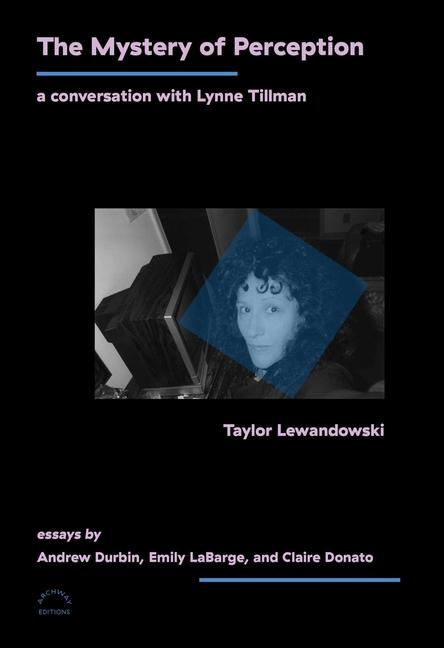 Mystery of Perception: A Conversation with Lynne Tillman