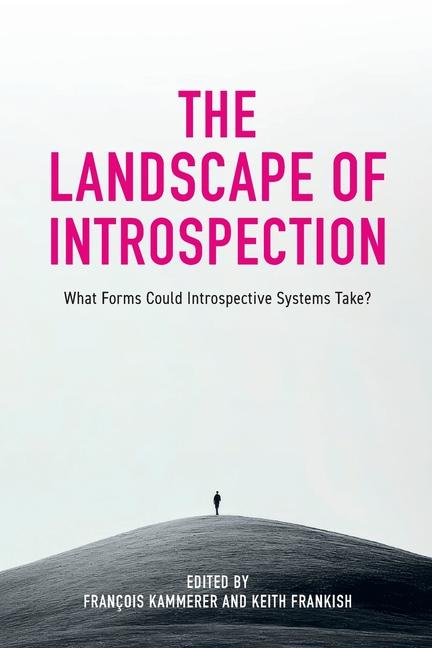 Landscape of Introspection: What Forms Could Introspective Systems Take?