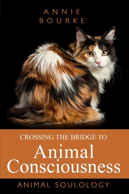 Crossing the Bridge to Animal Consciousness: Animal Soulology