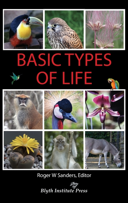Basic Types of Life