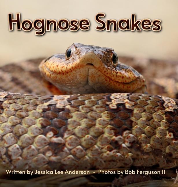 Hognose Snakes