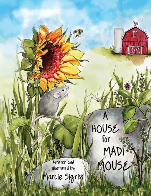 House for Madi Mouse
